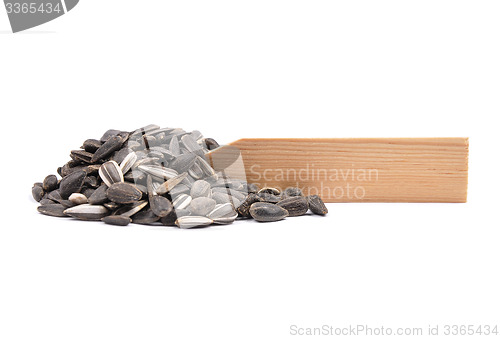 Image of Bird seed at plate