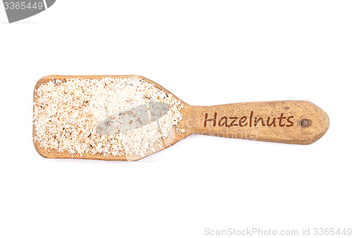 Image of Hazelnuts powdered on shovel