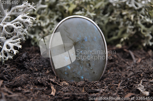 Image of Labradorite on forest floor