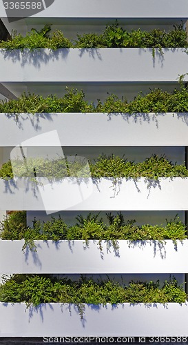 Image of Vertical Gardens