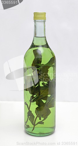 Image of Medical Herb Liqueur