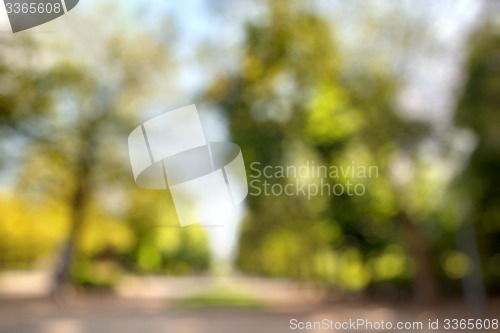 Image of Summer city park blurred background