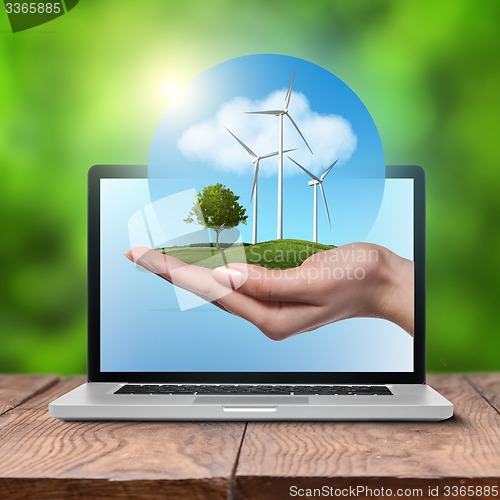 Image of Wind turbines with tree in female hand in laptop