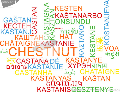 Image of Chestnut multilanguage wordcloud background concept