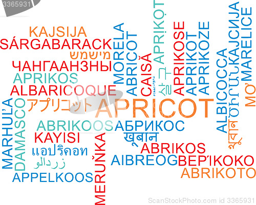Image of Apricot multilanguage wordcloud background concept