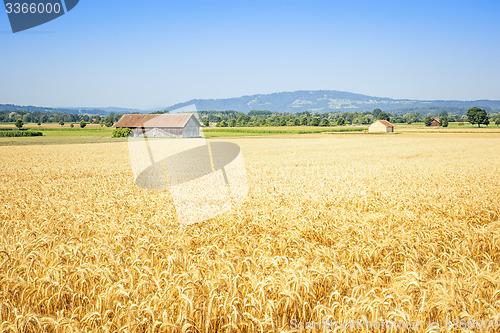 Image of countryside