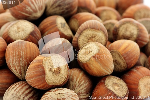 Image of Hazelnuts