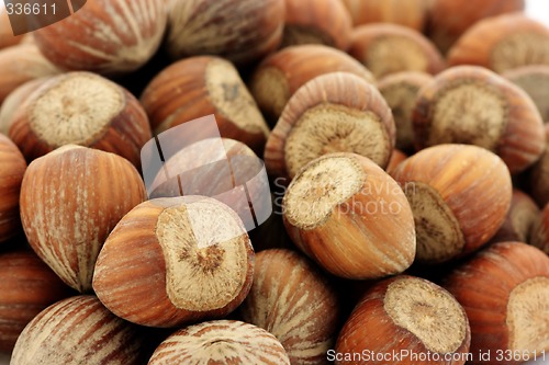 Image of Hazelnuts