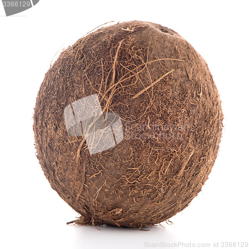 Image of Coconut