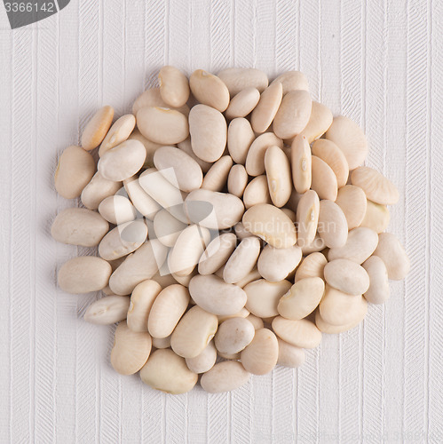 Image of Circle of white beans