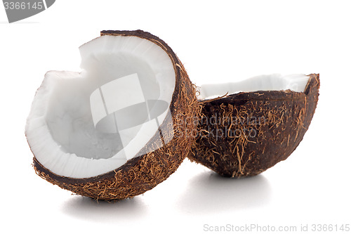 Image of Coconut