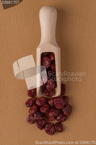 Image of Wooden scoop with dried cranberries