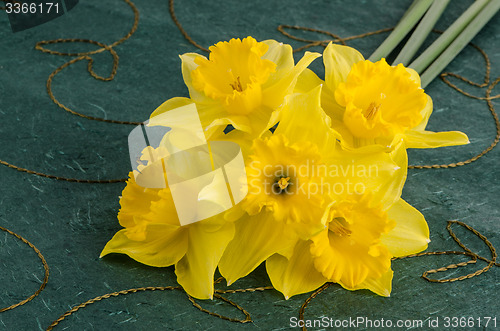 Image of Jonquil flowers