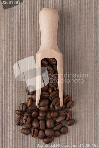 Image of Wooden scoop with coffee beans