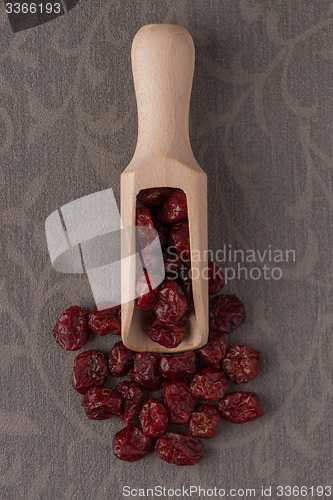 Image of Wooden scoop with dried cranberries