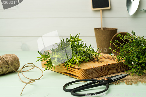 Image of Rosemary and thyme