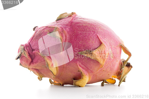 Image of Pitaya or Dragon Fruit 