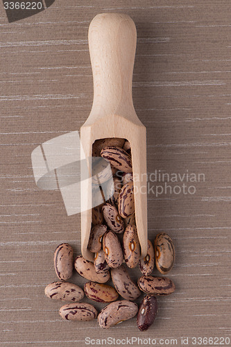 Image of Wooden scoop with pinto beans