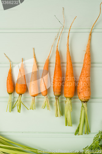 Image of Carrots on wooden table
