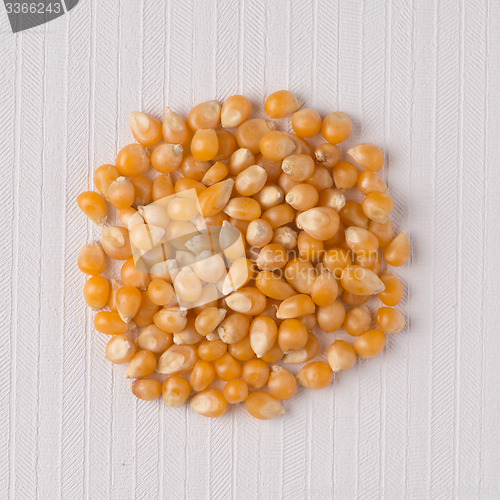 Image of Circle of corn