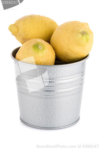 Image of Bucket with lemons