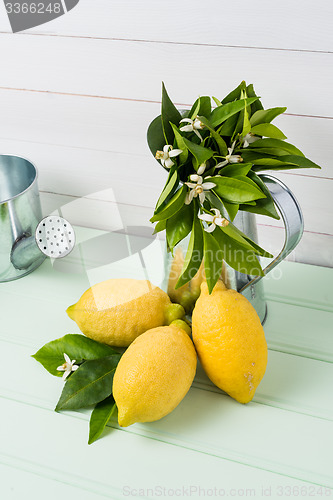 Image of Limes and vintage metal retro watering cans