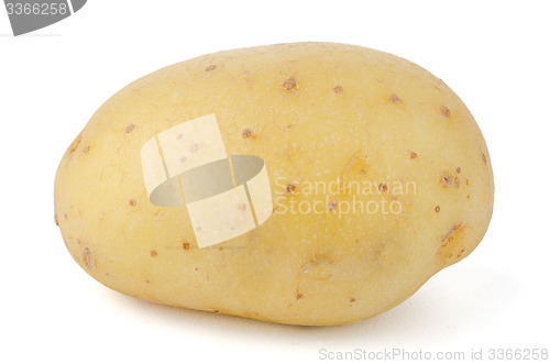 Image of New potato