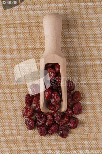 Image of Wooden scoop with dried cranberries