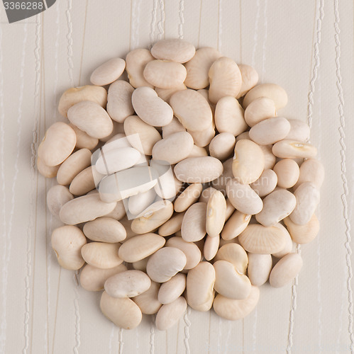Image of Circle of white beans