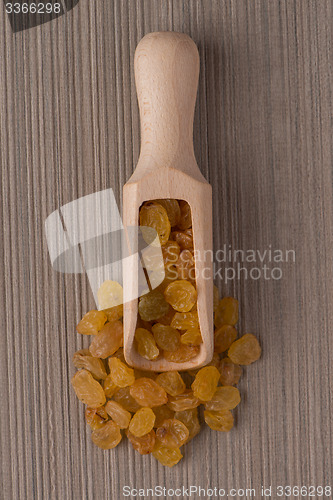 Image of Wooden scoop with golden raisins