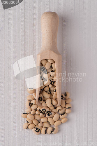 Image of Wooden scoop with white beans