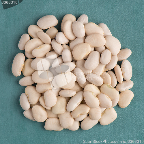 Image of Circle of white beans