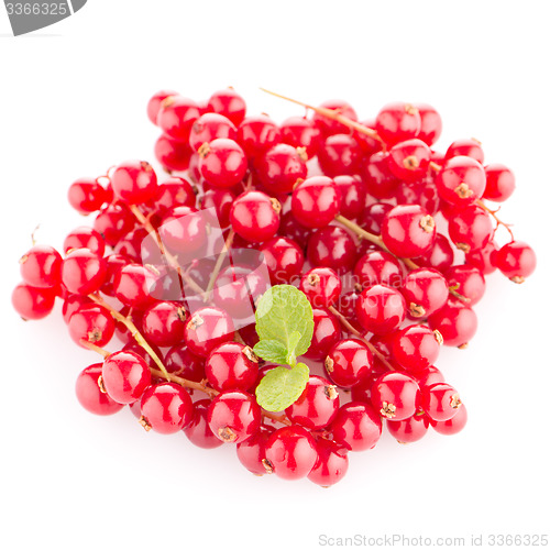 Image of Red Currants