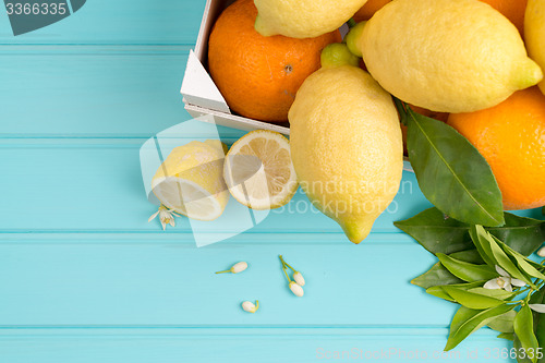 Image of Citrus fresh fruits