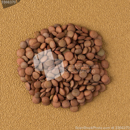 Image of Circle of lentils
