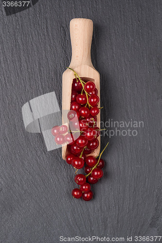 Image of Currants in a wooden spoon