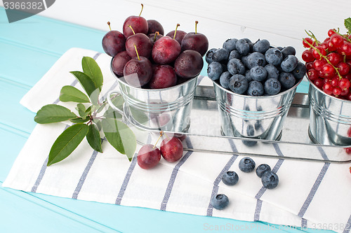 Image of Plums, red currants and blueberries in small metal bucket