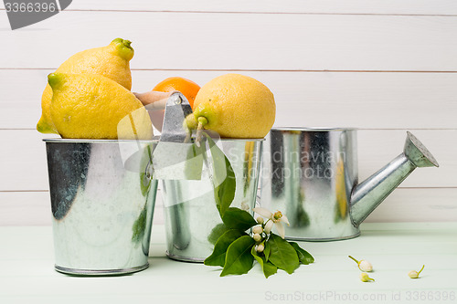 Image of Limes and vintage metal retro watering cans