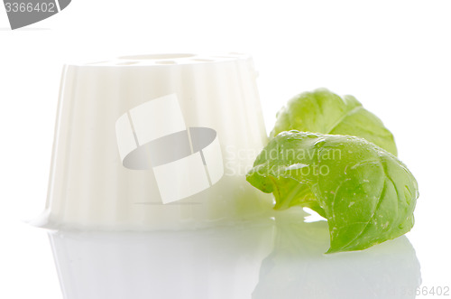 Image of White fresh cheese 