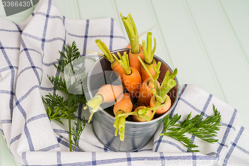 Image of Carrots on wooden table