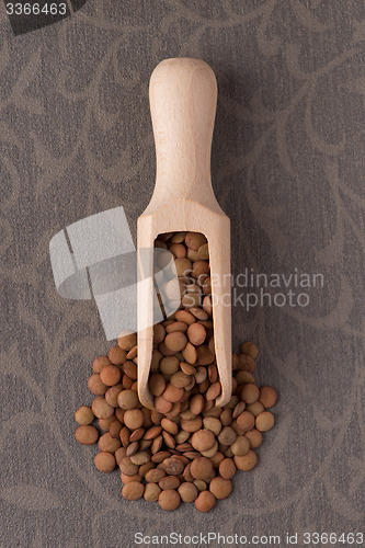 Image of Wooden scoop with lentils