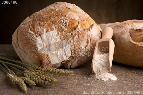 Image of Rustic bread and wheat