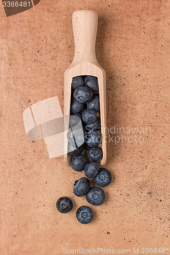 Image of Blueberries on a wooden spoon