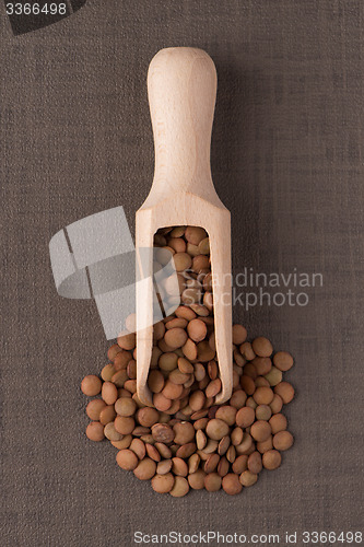 Image of Wooden scoop with lentils