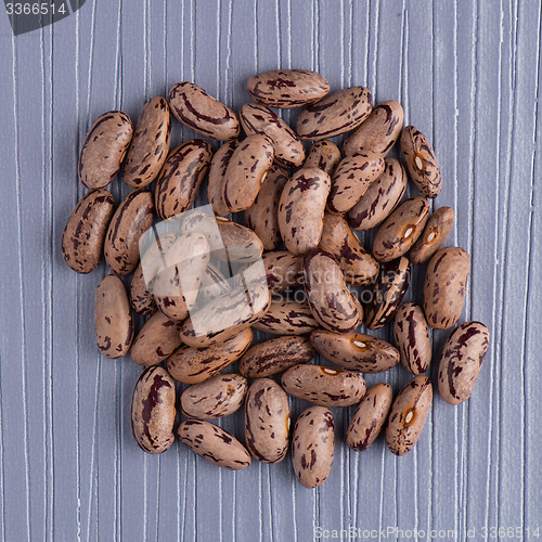 Image of Circle of pinto beans