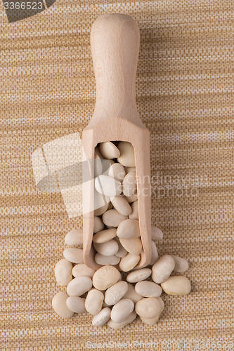 Image of Wooden scoop with white beans