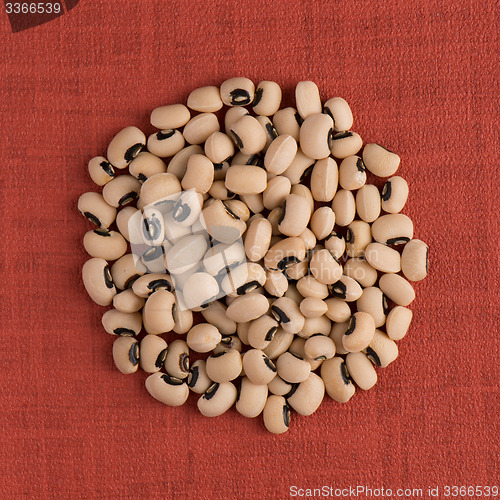 Image of Circle of white beans