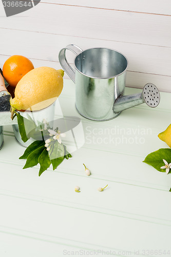 Image of Limes on wooden table