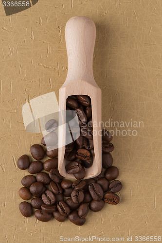 Image of Wooden scoop with coffee beans