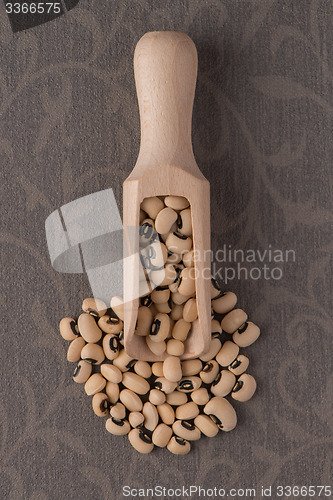 Image of Wooden scoop with white beans